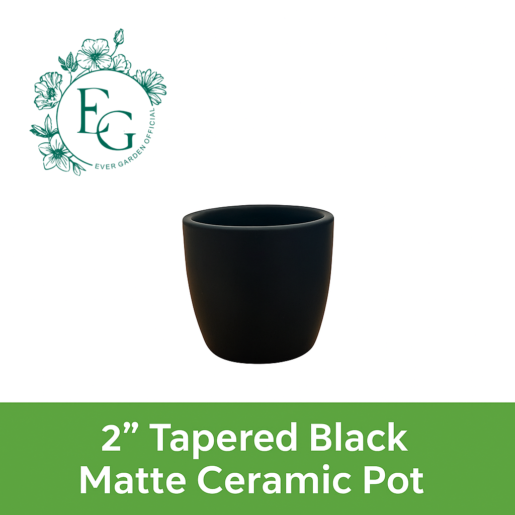 2” Tapered Black Matte Ceramic Pots