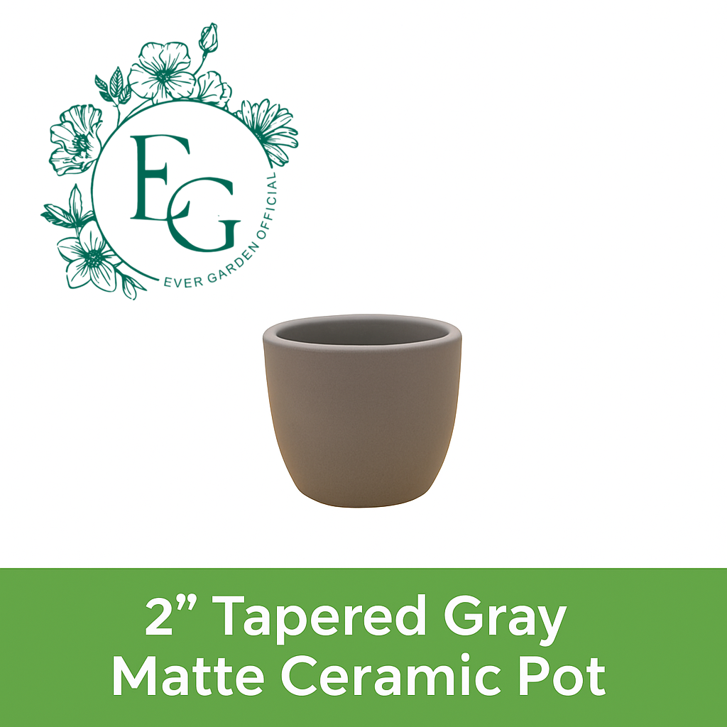 2” Tapered Gray Matte Ceramic Pots