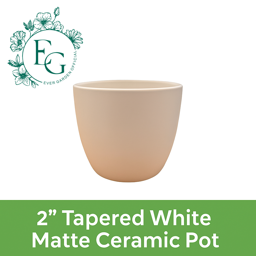 2” Tapered White Matte Ceramic Pots